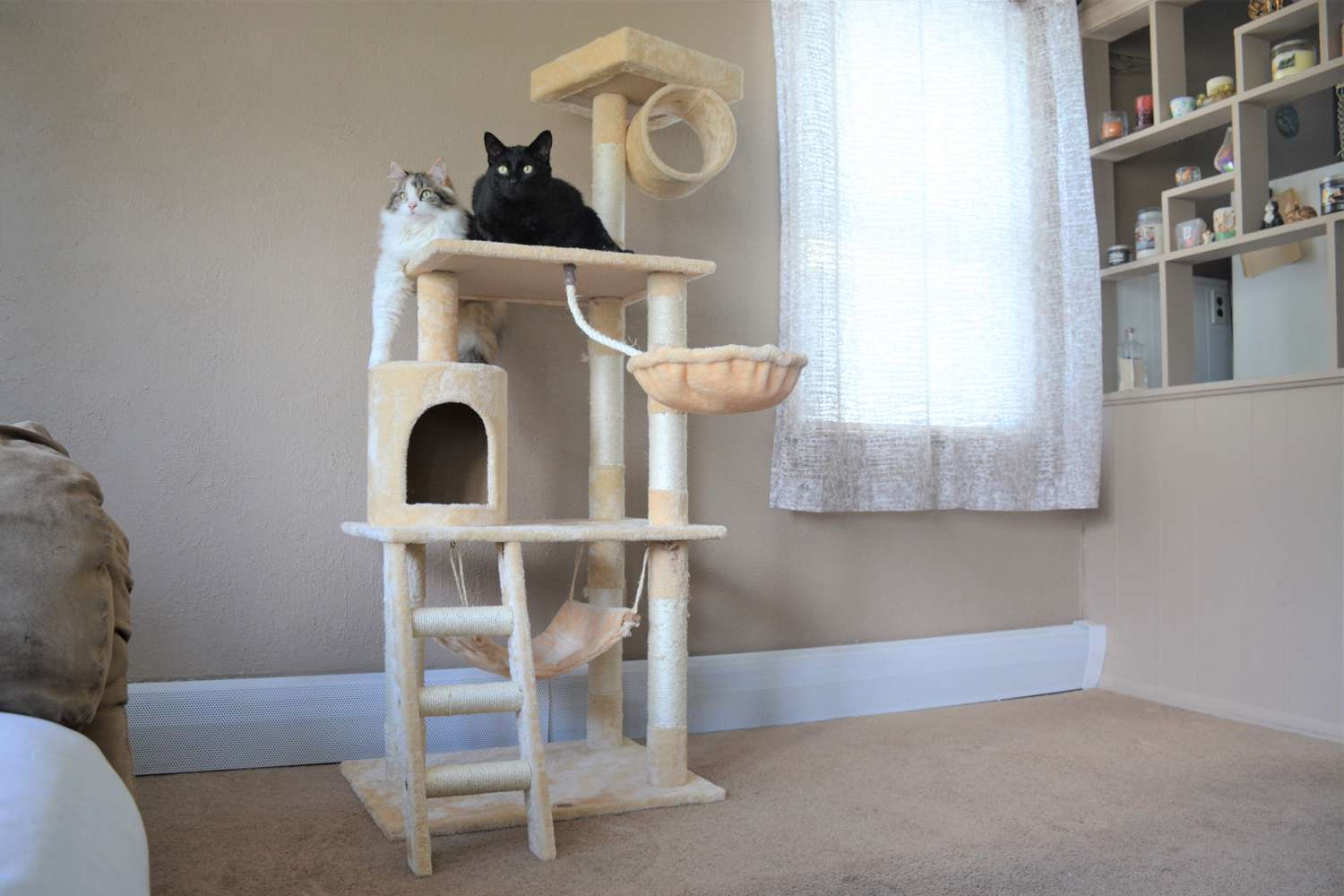 宠物俱乐部猫咪树家具