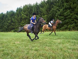Side view of girl and mature woman wearing riding hats galloping on horseback