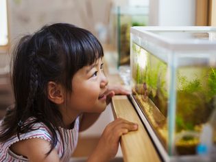 小女孩在鱼缸里看
