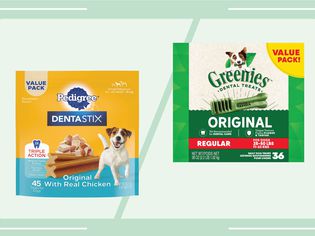 Pedigree Dentastix Dog Dental Treats and Greenies Original Regular Natural Dental Dog Treats collaged on a green background