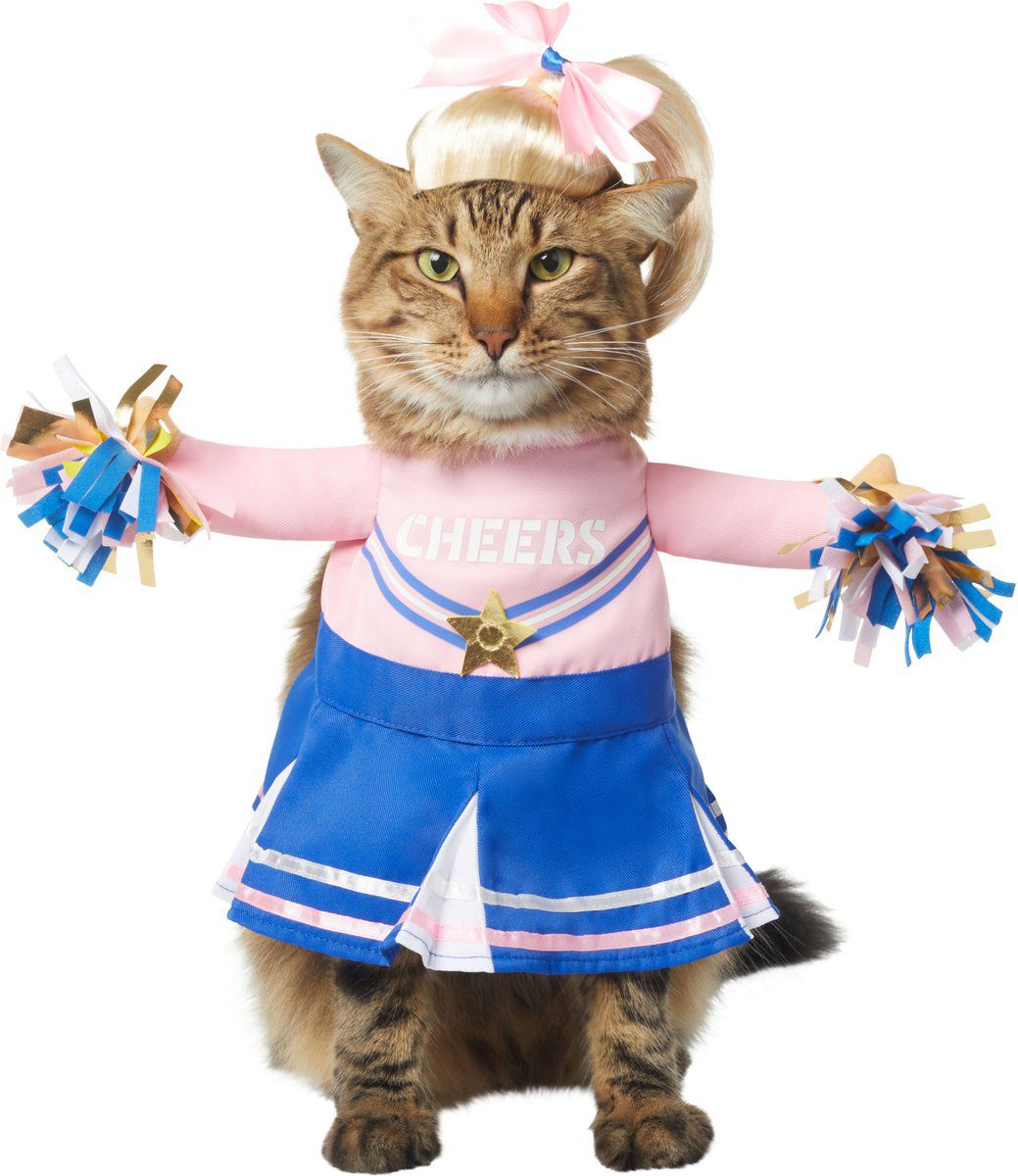 拉拉队长猫狗服装