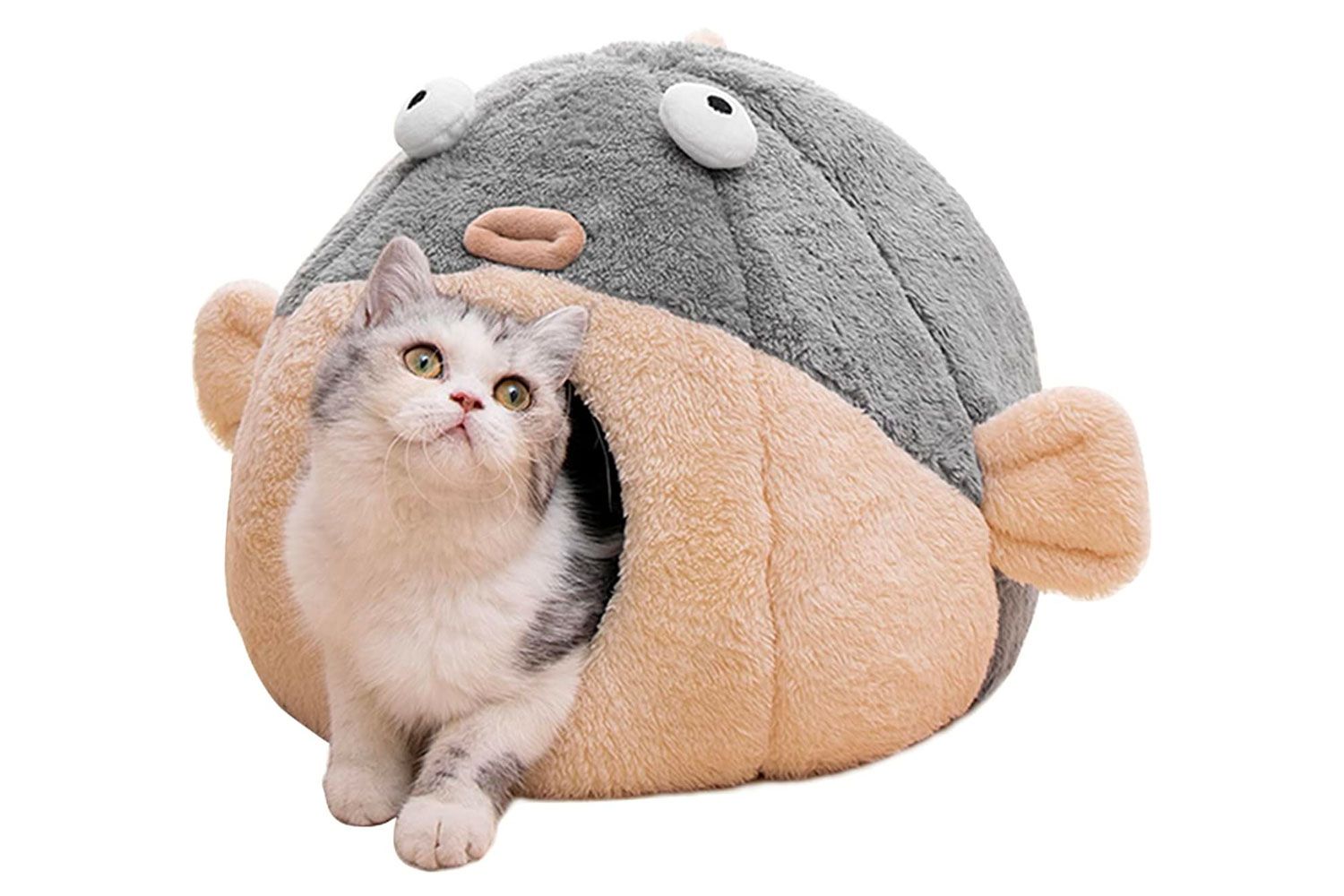 活泼的河豚猫屋