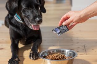 犬类营养补品