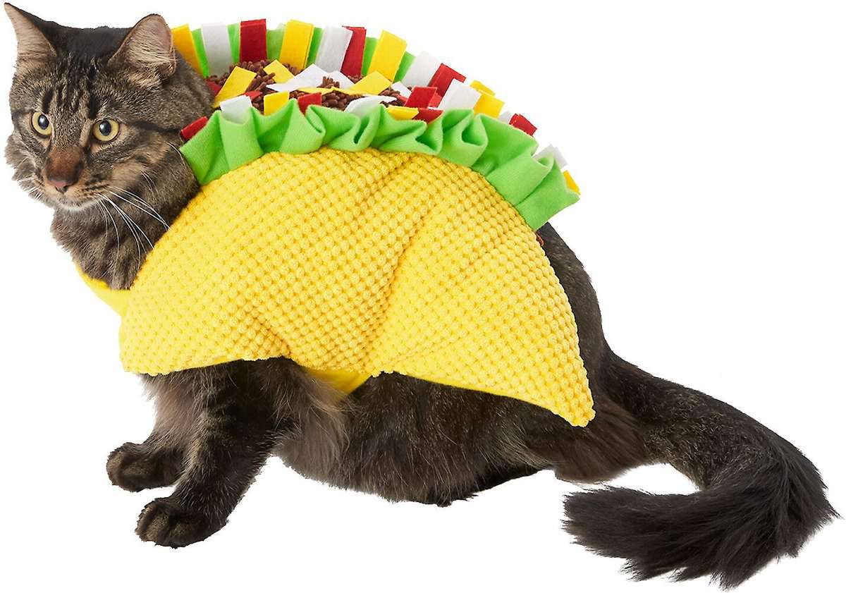 塔可猫和狗服装