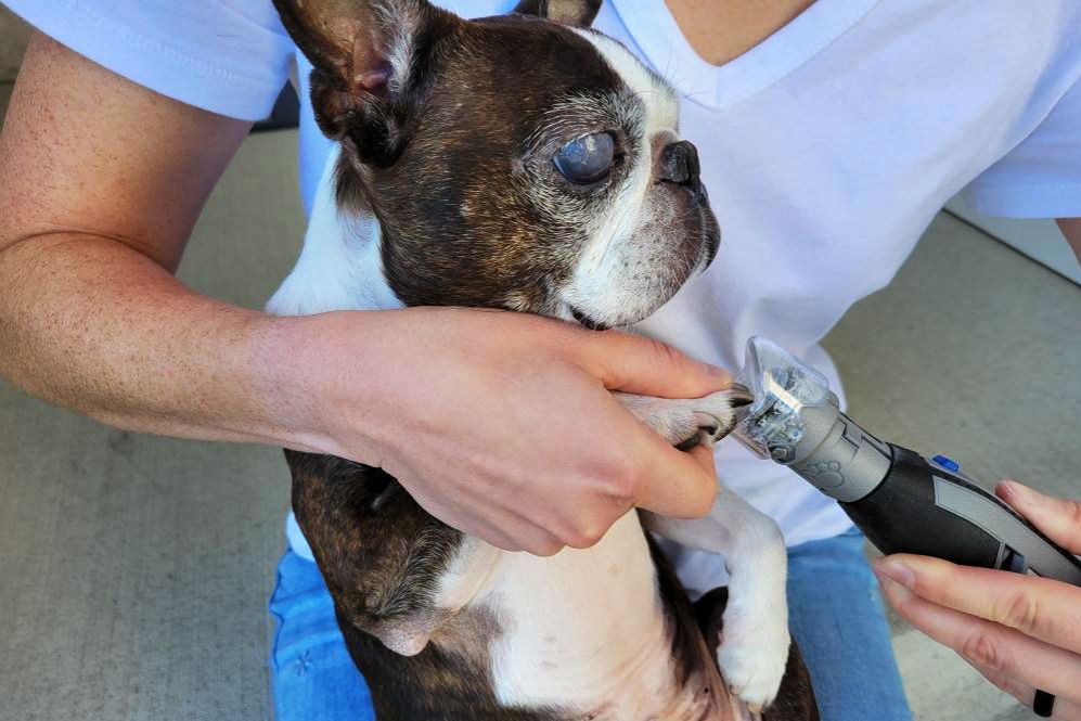 Dremel 7760-PGK PawControl Dog Nail Grinder
