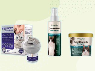 Collage of best cat sleep aids on light green background