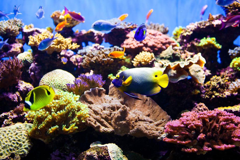 水水族馆