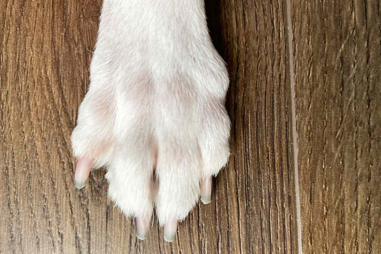 Dremel 7760-PGK PawControl Dog Nail Grinder