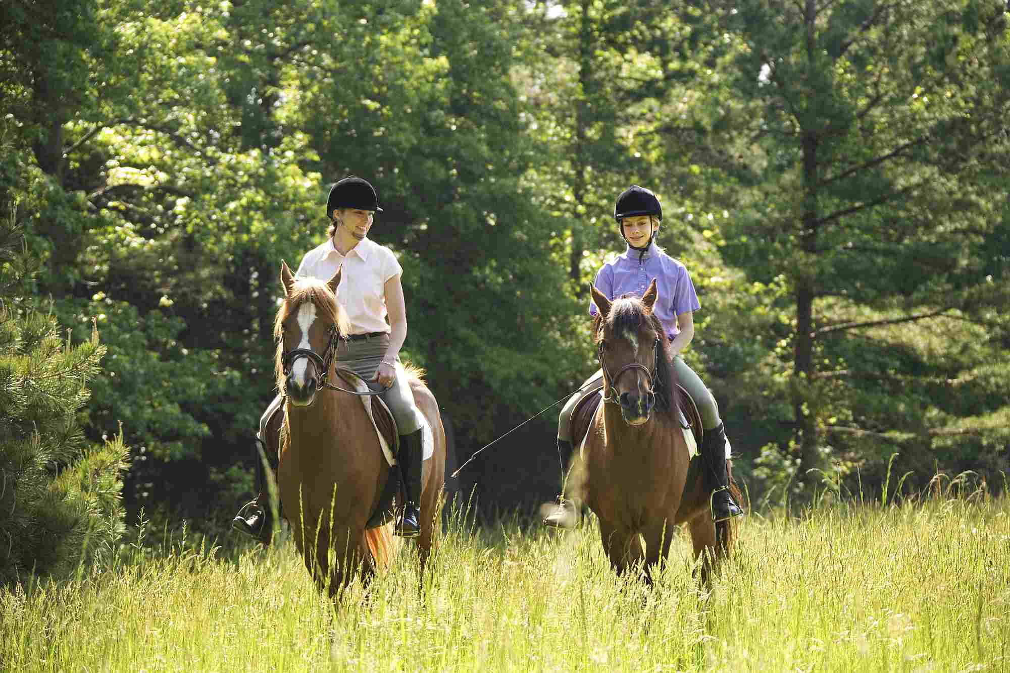riderswalkingthroughfieldlg.jpg
