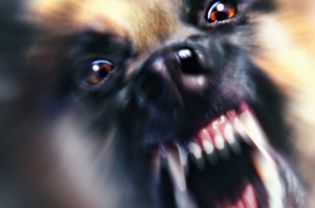 侵略