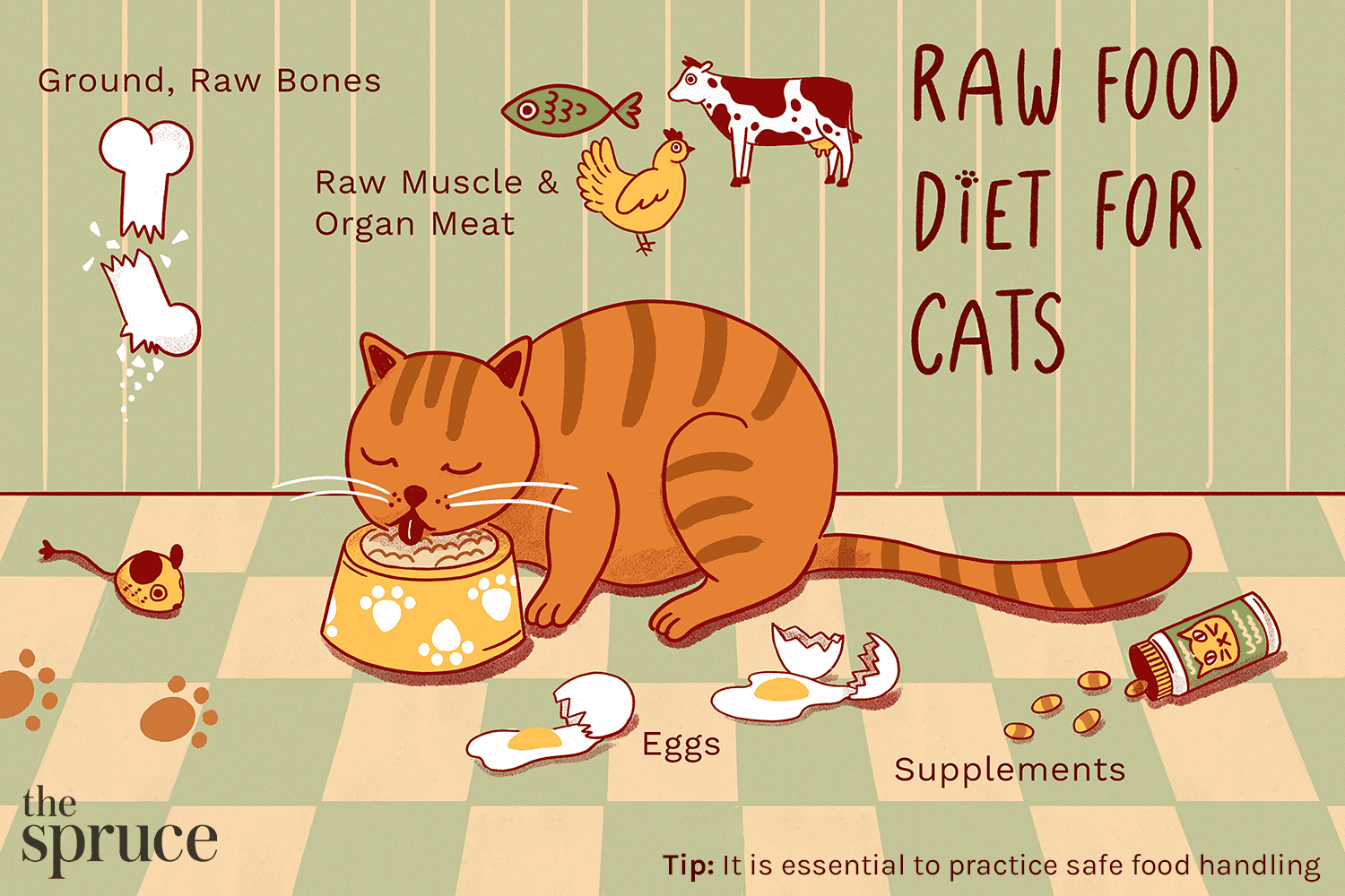 解释猫的生食的一部分的插图