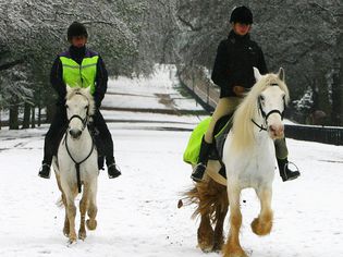 Girls riding white horses along snowy lane.