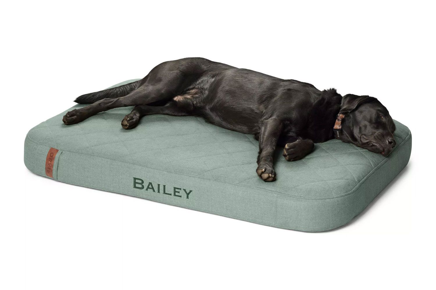 Orvis RecoveryZone Lounger Dog Bed