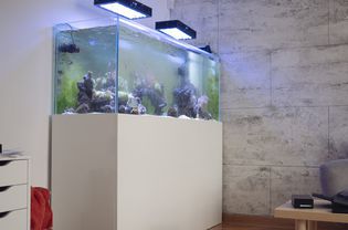 水族馆