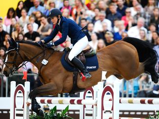 Stadium Horse Jumping Competitions