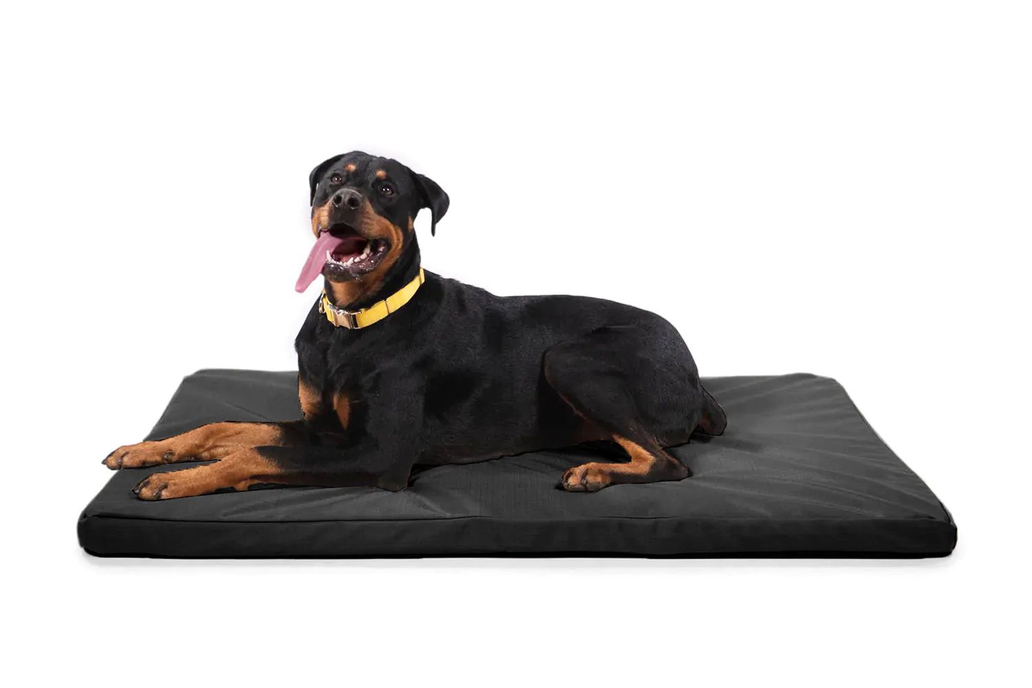 A dog laying down on the K9 Ballistics Dog Bed