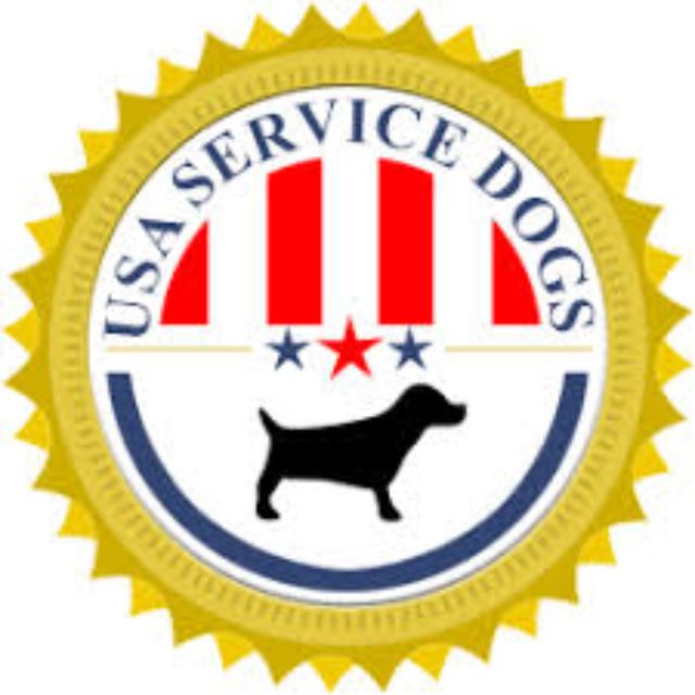美国服务犬佩戴金色徽章，徽章上绘有狗的剪影