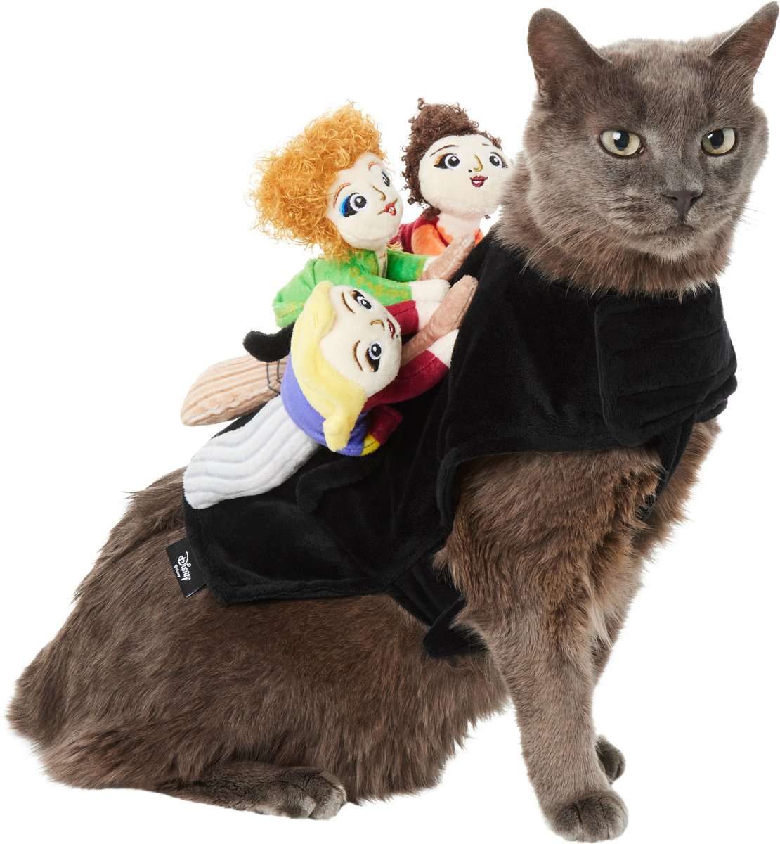 迪士尼魔术骑上桑德森姐妹狗和猫服装