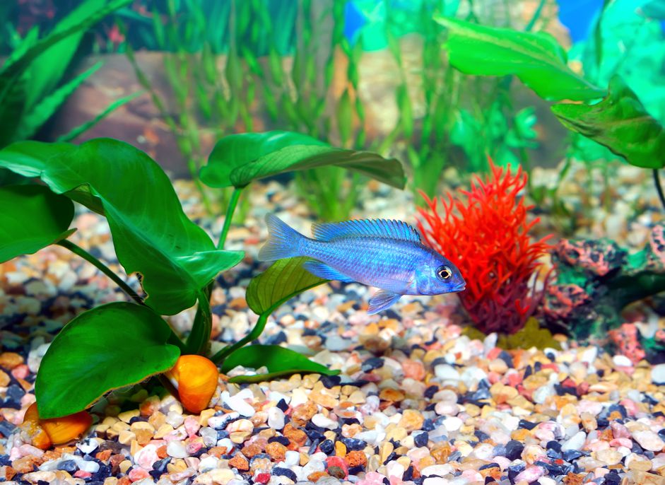 水族馆
