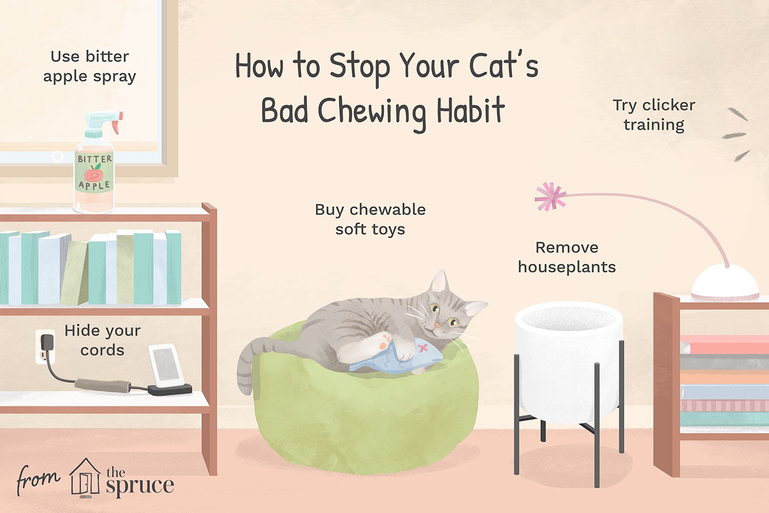 客厅里的猫的插图